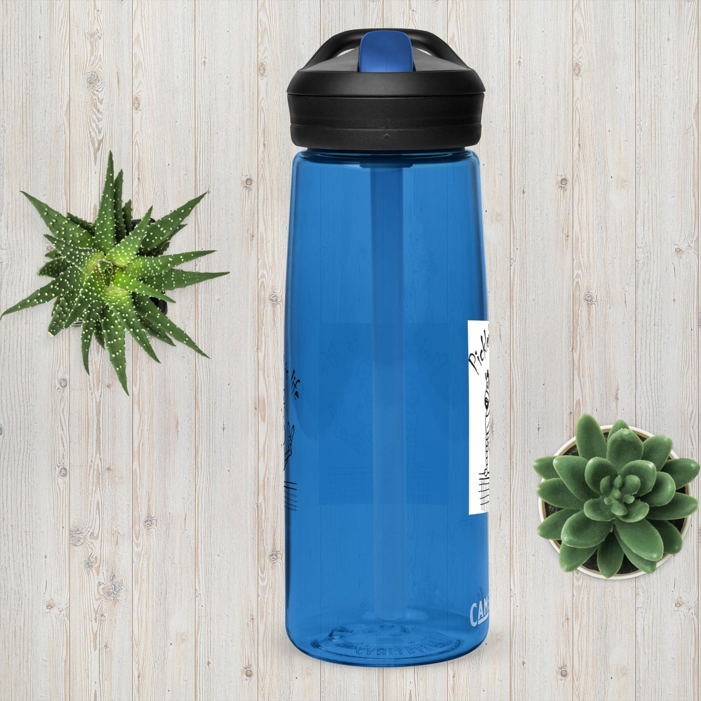 Sports water bottle