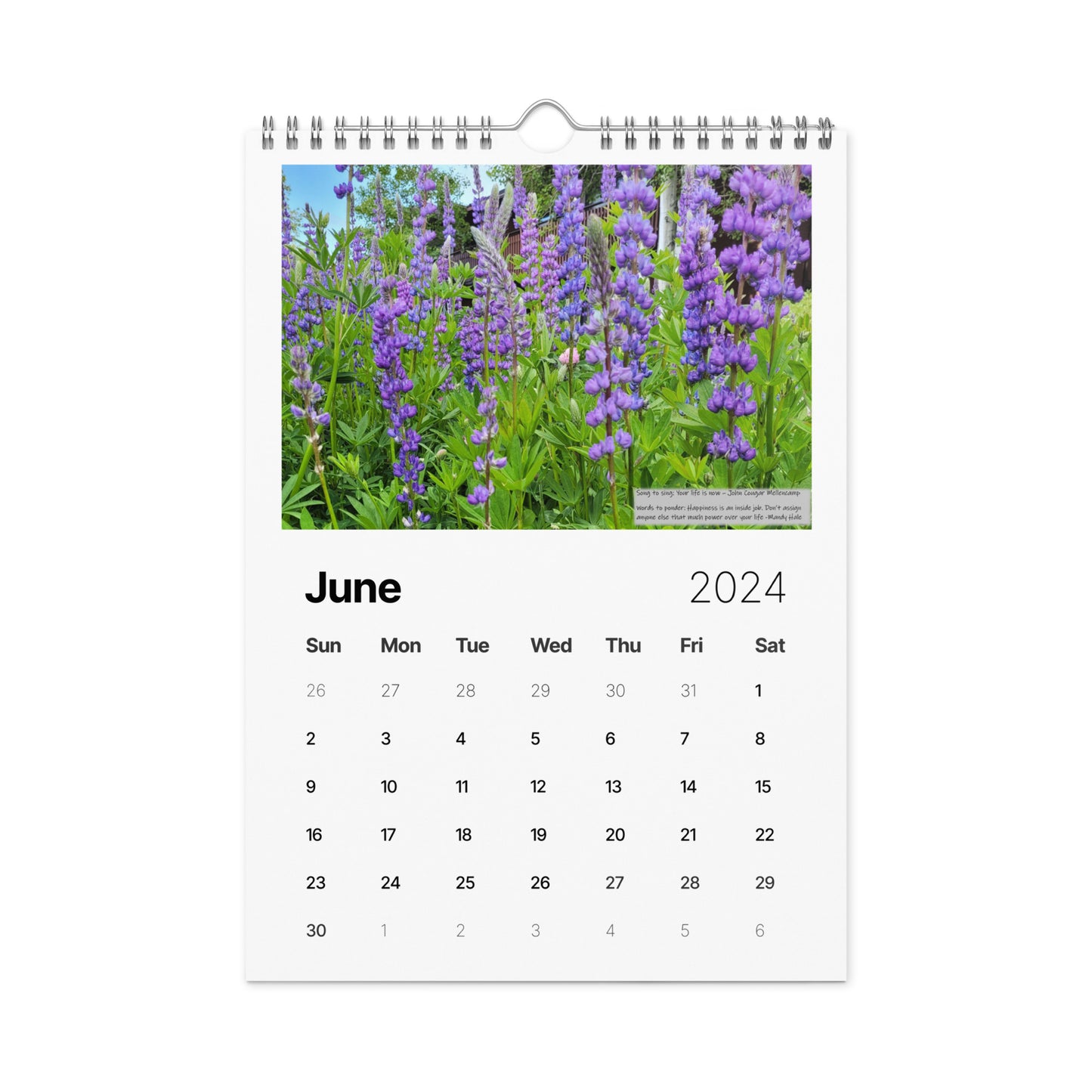 Truckee Calendar (2024) A Year of Love